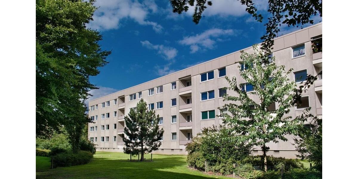 Stilvoll wohnen in Detmerode: Top modernisierte 3-Zimmer-Wohnung 3 zimmer