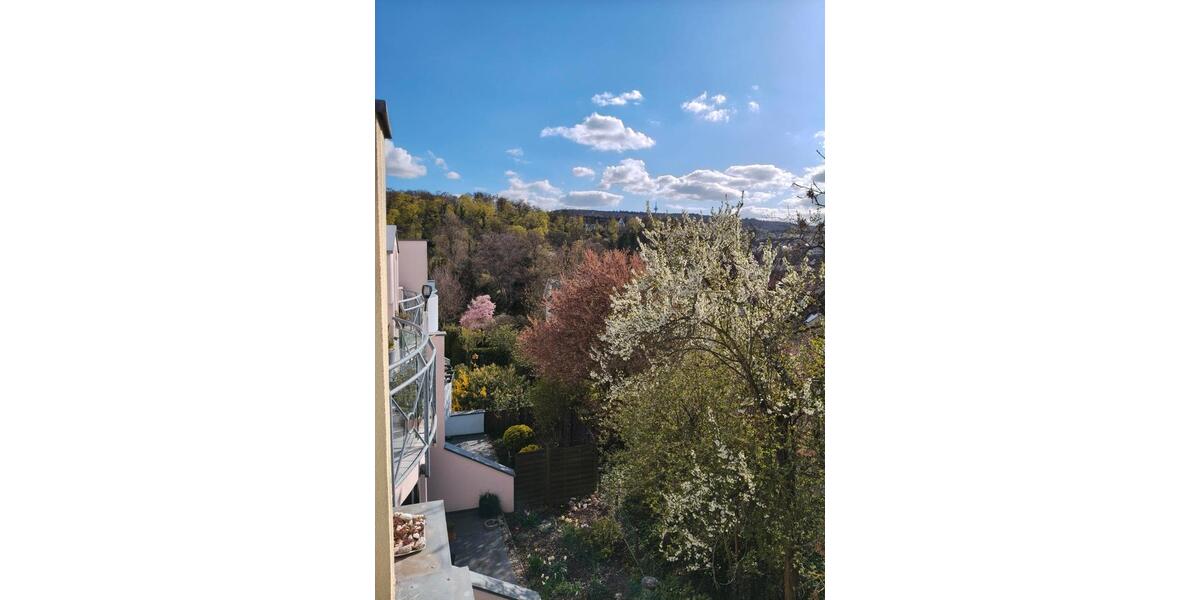 Etagenwohnung Bad Kreuznach - 2 Zimmer, 65 m&sup2;, 780&euro; | Angebot:26396970