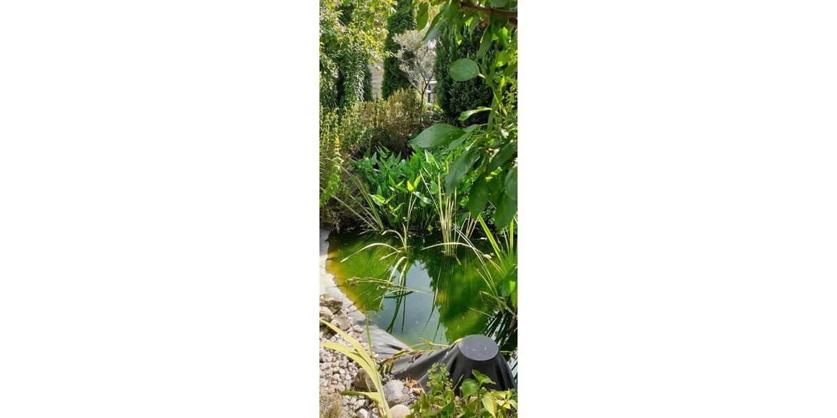 Erdgeschoßwohnung Bautzen - 2 Zimmer, 550&euro; | Angebot:21387084