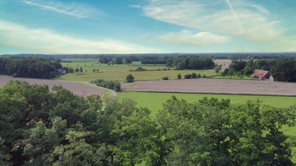 Gewerbeobjekt Badbergen - 170&euro; | Angebot:22011526