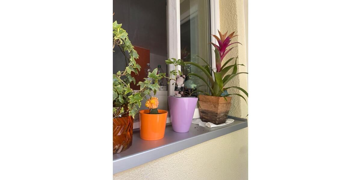 Wohnen auf Zeit München Sendling-Westpark - 2 Zimmer, 54 m&sup2;, 1.350&euro; | Angebot:26701615