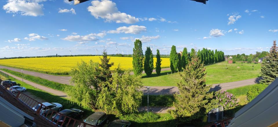 gepflegte, helle Dachgeschoss Wohnung mit Blick ins Grüne 2 zimmer