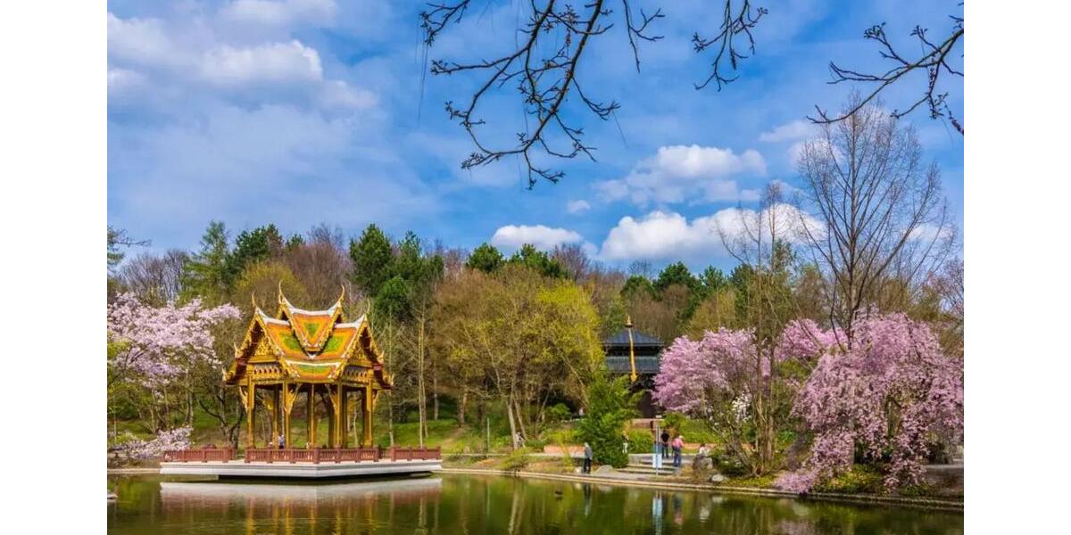 Möbl. 12m2 Zi. in 3er-berufstätigen-WG in München-Sendling 15.01 5 zimmer