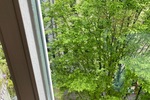 Schicke 1-RaumWohnung! Kleine EBK! Friedenspark in der Nähe!