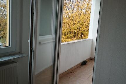 Wohnung Salzgitter - 3 Zimmer, 67 m&sup2;, 510&euro; | Angebot:26632955