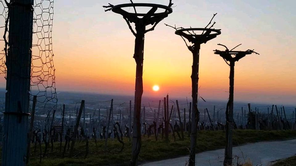 Wohnen auf Zeit Heppenheim (Bergstraße) - 2 Zimmer, 27 m&sup2;, 30&euro; | Angebot:10848894