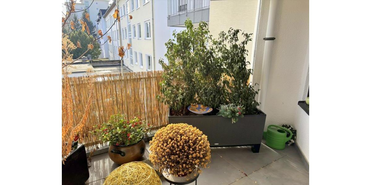 Etagenwohnung Koblenz - 4 Zimmer, 110 m&sup2;, 1.650&euro; | Angebot:25297293