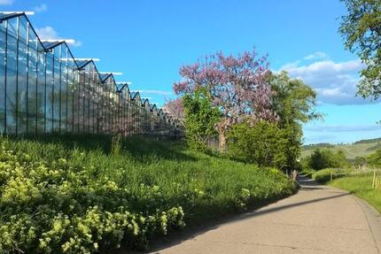 Möbliertes Appartement mit großem Balkon & traumhafter Aussicht 1 zimmer