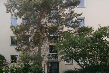 Wohnung Frankfurt am Main Sachsenhausen - 2 Zimmer, 38 m&sup2;, 536&euro; | Angebot:25278612