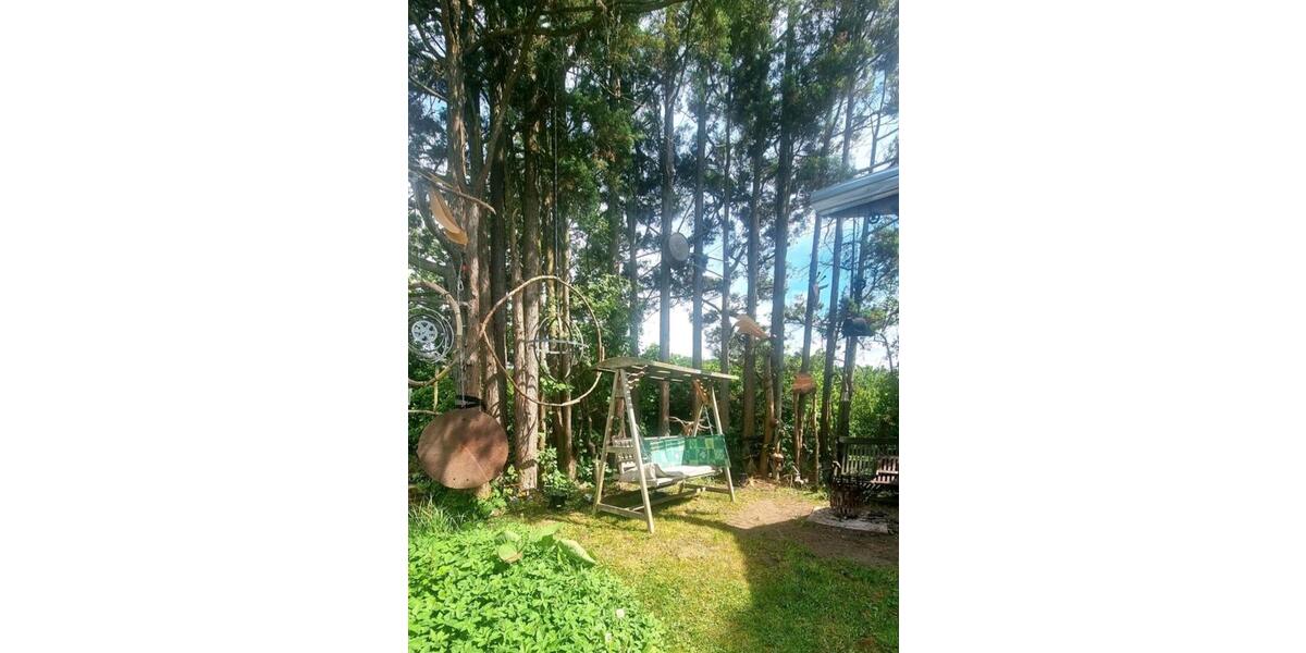 Wohnen auf Zeit Windeck - 1 Zimmer, 250 m&sup2;, 250&euro; | Angebot:23635643