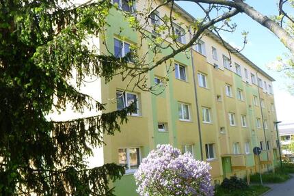 2-Raum-Wohnung mit großem Balkon 2 zimmer