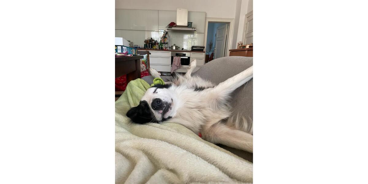 Wohnen auf Zeit Blankenfelde-Mahlow Groß Kienitz - 3.5 Zimmer, 135 m&sup2;, 800&euro; | Angebot:25286742