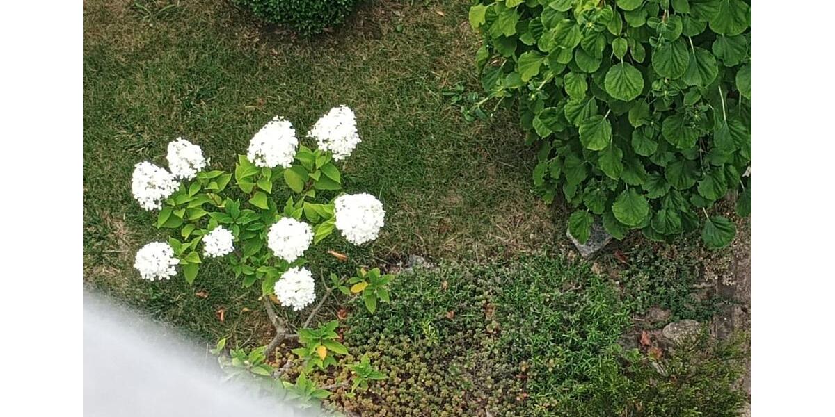 Etagenwohnung Nörten-Hardenberg Hardenberg - 4 Zimmer, 100 m&sup2;, 1.250&euro; | Angebot:24641398