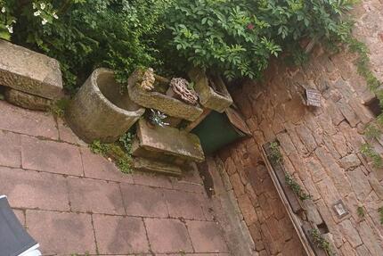 Haus Steinbach am Donnersberg - 5 Zimmer, 100 m&sup2;, 845&euro; | Angebot:22111765