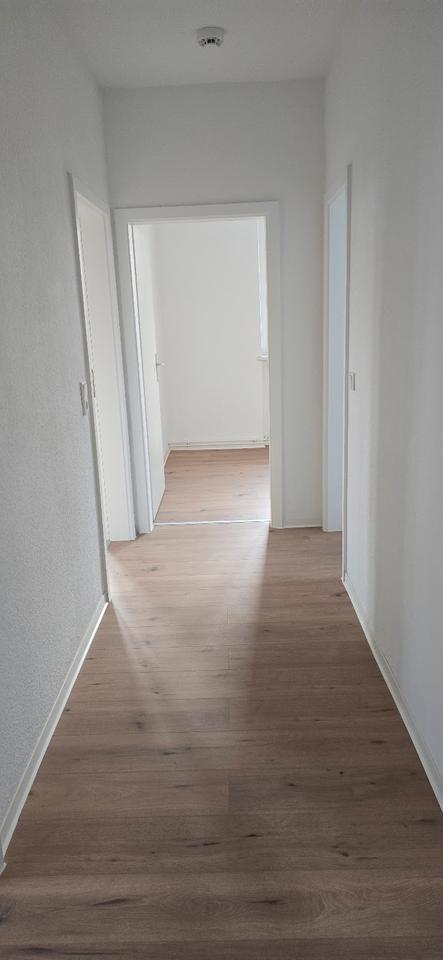 die erste Miete geschenkt für eine 3 Zimmerwohnung in der Waldstraße zimmer