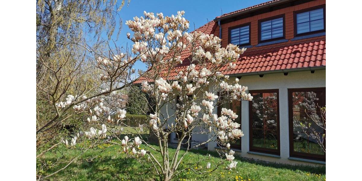 Einfamilienhaus Neuenhagen bei Berlin - 6 Zimmer, 150 m&sup2;, 4.900&euro; | Angebot:24623023