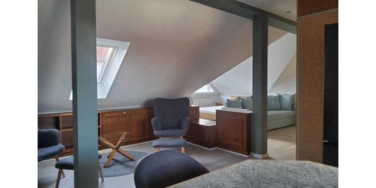 Lichtdurchflutete grosszügige Studiowohnung, möbliert in Querfurt 1 zimmer