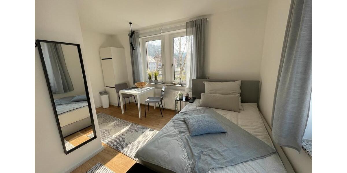 Etagenwohnung Biberach an der Riß - 1 Zimmer, 25 m&sup2;, 990&euro; | Angebot:25291360