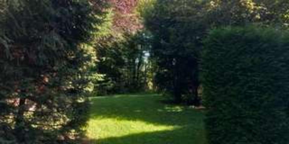 Terrassenwohnung Bad Wildungen - 3 Zimmer, 90 m&sup2;, 8&euro; | Angebot:24654724