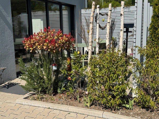 Etagenwohnung Menden (Sauerland) - 2 Zimmer, 83 m&sup2;, 960&euro; | Angebot:26664022