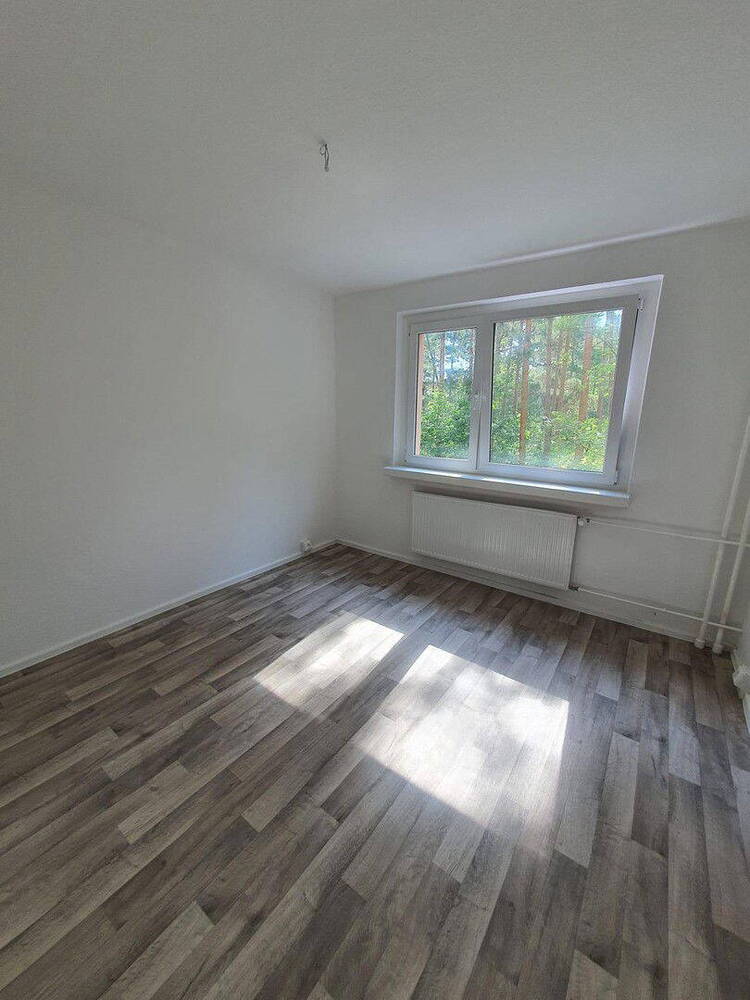 Erstbezug nach Sanierung! 4 Zi.Whg. mit Balkon in Walddrehna