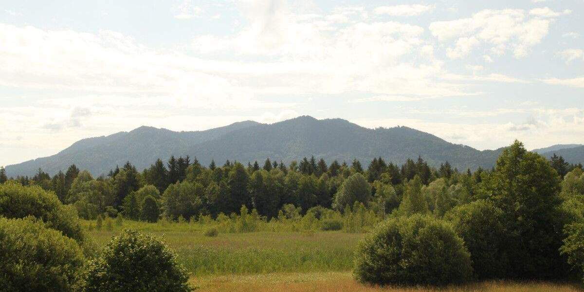Saniertes Reihenmittelhaus mit eigenem Garten in ruhiger, dennoch zentraler Wohnlage! 3 zimmer