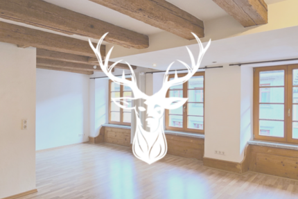 Wohnung Waldshut Tiengen - 1.5 Zimmer, 46 m&sup2;, 650&euro; | Angebot:27018512