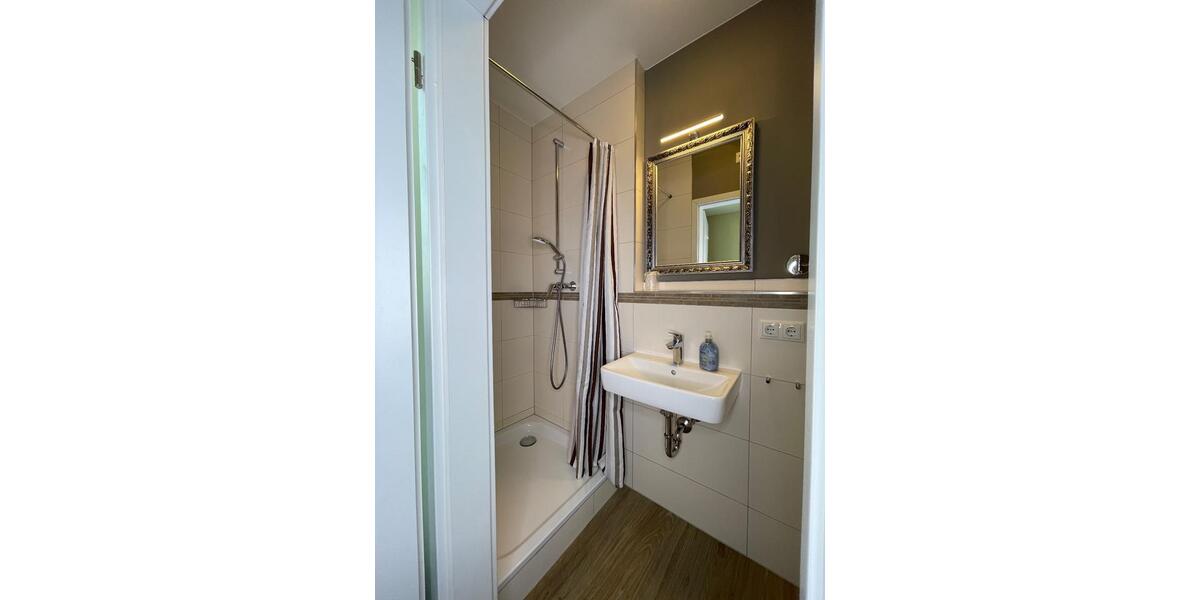 möbliertes 1-Zimmer-Apartment mit eigenem Bad in Mainzer Toplage 1 zimmer