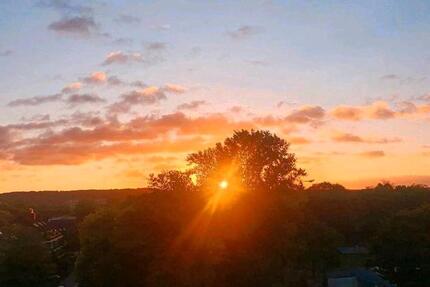 Wohnen auf Zeit Düsseldorf Düsseltal - 2 Zimmer, 1.300&euro; | Angebot:23042227