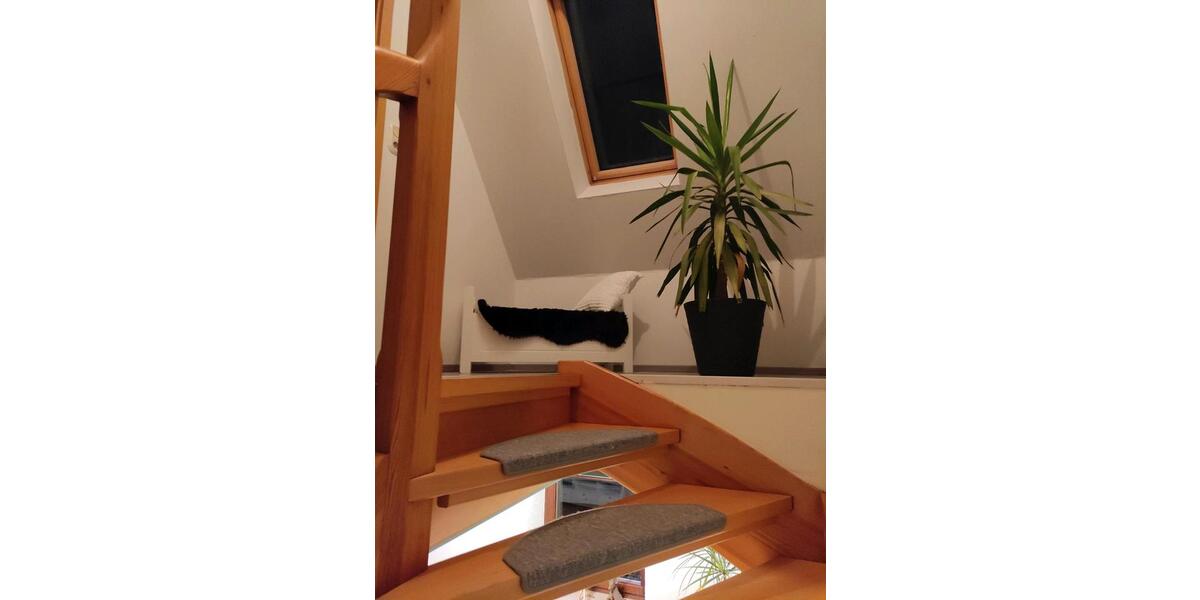 FerienwohnungMonteursunterkunft 3 zimmer