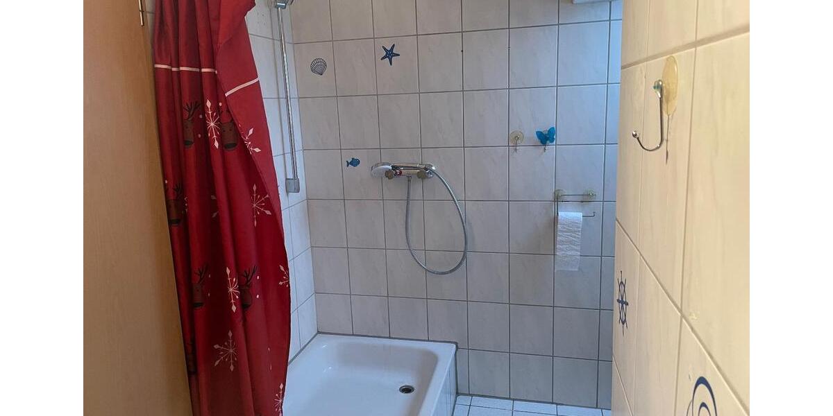Dachgeschoßwohnung Usingen - 1 Zimmer, 41 m&sup2;, 490&euro; | Angebot:24488299