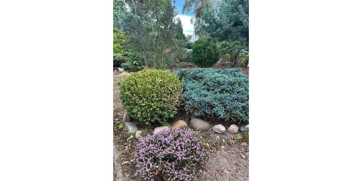 Einfamilienhaus Bispingen - 6 Zimmer, 115 m&sup2;, 1.300&euro; | Angebot:25291293