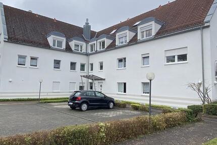 3-Zimmer-Wohnung mit Garten und TG-Stellplatz 3 zimmer