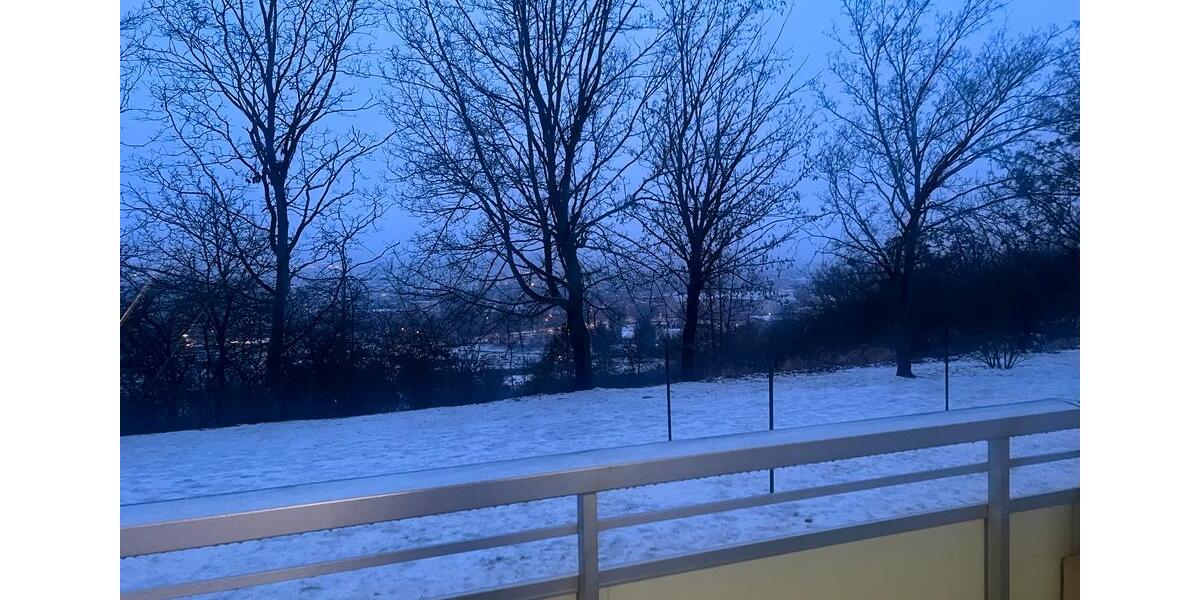 Erdgeschoßwohnung Neubrandenburg Carlshöhe - 1 Zimmer, 34 m&sup2;, 315&euro; | Angebot:24842956