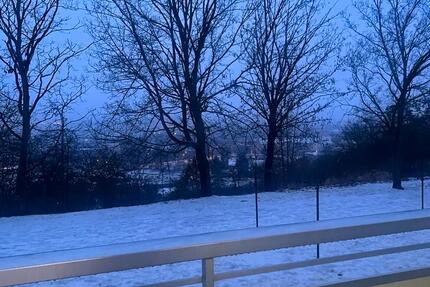 Wohnung Neubrandenburg Carlshöhe - 1 Zimmer, 34 m&sup2;, 315&euro; | Angebot:24842956