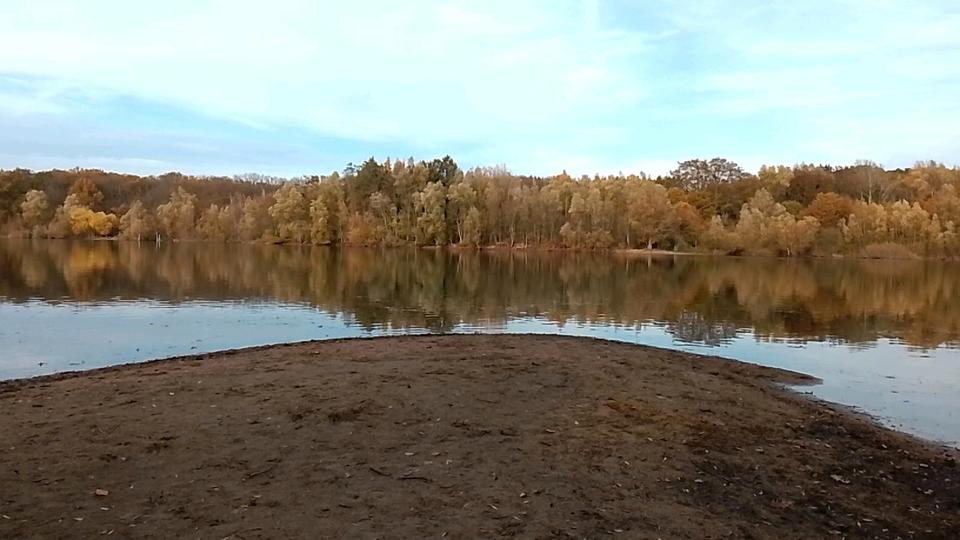 WG-ZIMMER IN KÖLN DELLBRÜCK FREI 1 zimmer