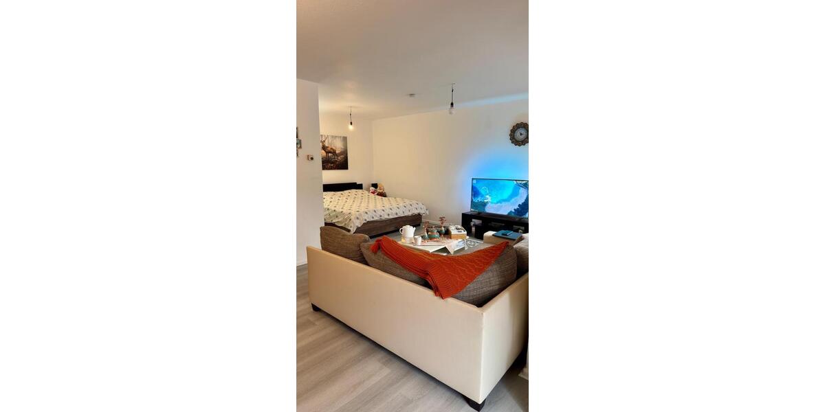 Wohnen auf Zeit Essen Stadtbezirk IX - 1 Zimmer, 45 m&sup2;, 1.000&euro; | Angebot:24720473