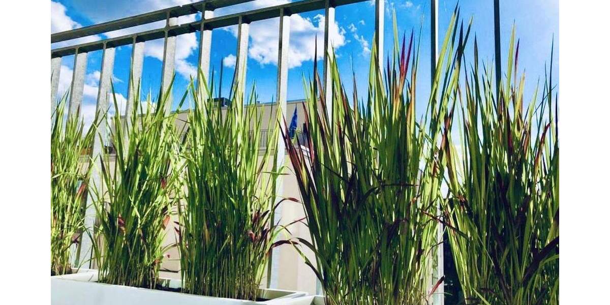 @HOME ? EXKLUSIVES DESIGN BUSINESS APARTMENT IM HERZEN HAMBURGS ? virtuelle Besichtigung möbliert 2 zimmer