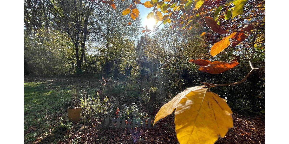 Einfamilienhaus Bammental - 7 Zimmer, 150 m&sup2;, 2.100&euro; | Angebot:26140719