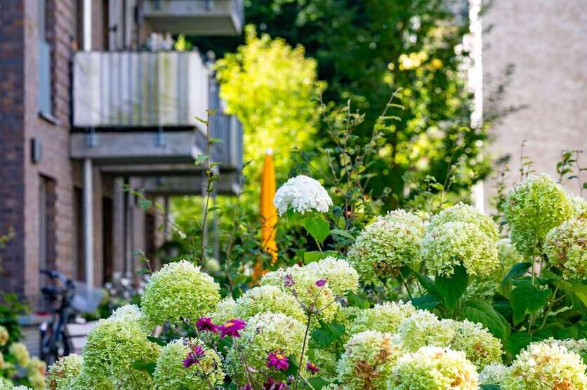 Wohnung zum Mieten in Hamburg 309,70 € 43.62 m² 1 zimmer