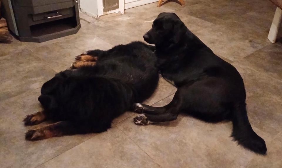 Erdgeschoßwohnung Sottrum - 1 Zimmer, 90 m&sup2;, 250&euro; | Angebot:24463974