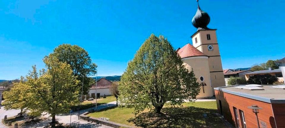 Erdgeschoßwohnung Zachenberg - 2 Zimmer, 86 m&sup2;, 650&euro; | Angebot:26527328