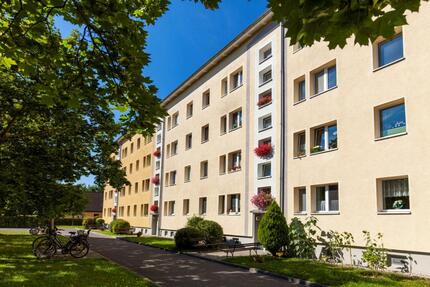 Wohnung Wurzen - 2 Zimmer, 48 m&sup2;, 299&euro; | Angebot:25229509