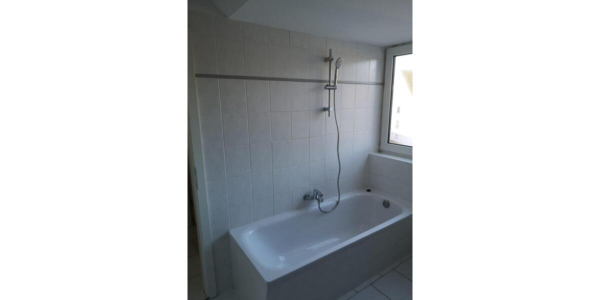 Lichtdurchflutete komplett renovierte 2-Raum-Wohnung mit Balkon und Stellplatz sowie Blick in die freie Natur in Schwaneberg 2 zimmer