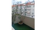 Etagenwohnung Hannover Vahrenwald-List - 1 Zimmer, 30 m&sup2;, 40&euro; | Angebot:26687090
