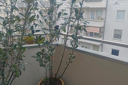 Wohnung Hannover Vahrenwald-List - 1 Zimmer, 30 m&sup2;, 40&euro; | Angebot:26687090