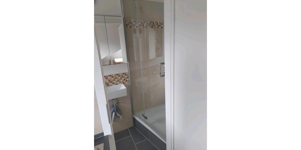 Dachgeschoßwohnung Mainz Gonsenheim - 1 Zimmer, 30 m&sup2;, 850&euro; | Angebot:26039896