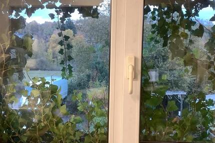 Gewerbe Wohnung Taunusstein Hahn Gewerbe Immobilie zimmer