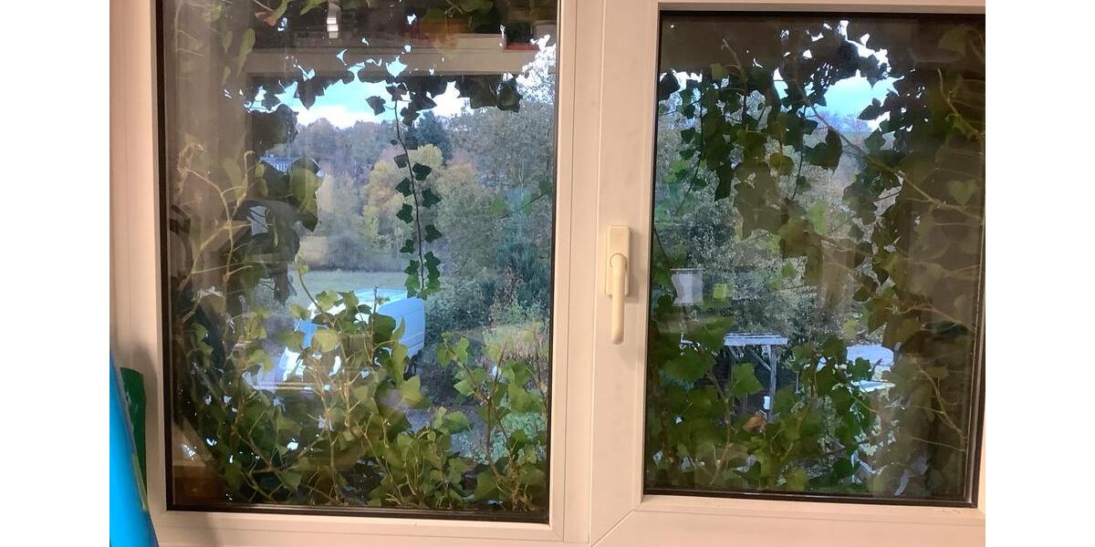 Gewerbe Wohnung Taunusstein Hahn Gewerbe Immobilie zimmer