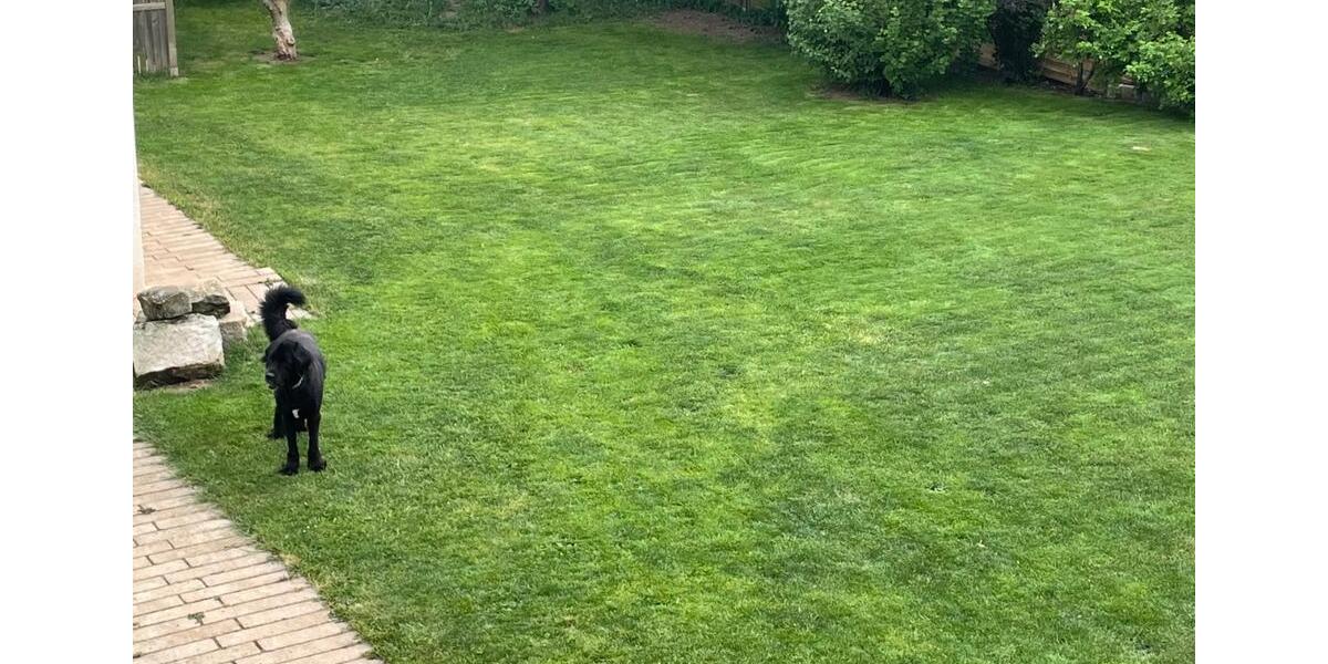 Einfamilienhaus Küps - 5 Zimmer, 158 m&sup2;, 1.339&euro; | Angebot:25050702